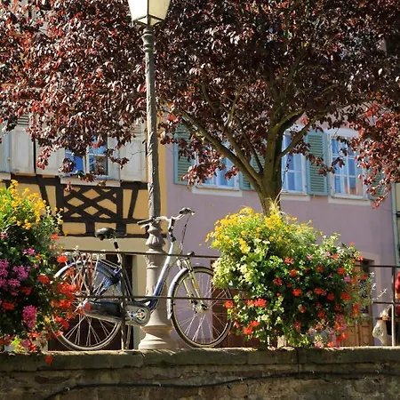 Ron's Colmar
