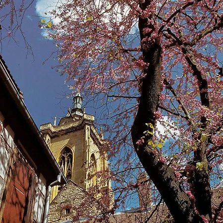 Ron's Apartamento Colmar