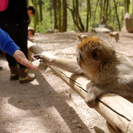 Ron's Apartamento Colmar